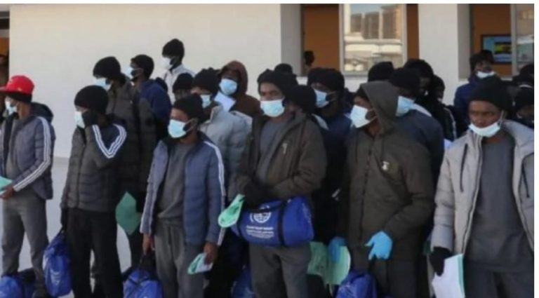 Canadian Authorities Intensified Immigration Enforcement Policy: Deported 366 NigerianS Between January And October 2025