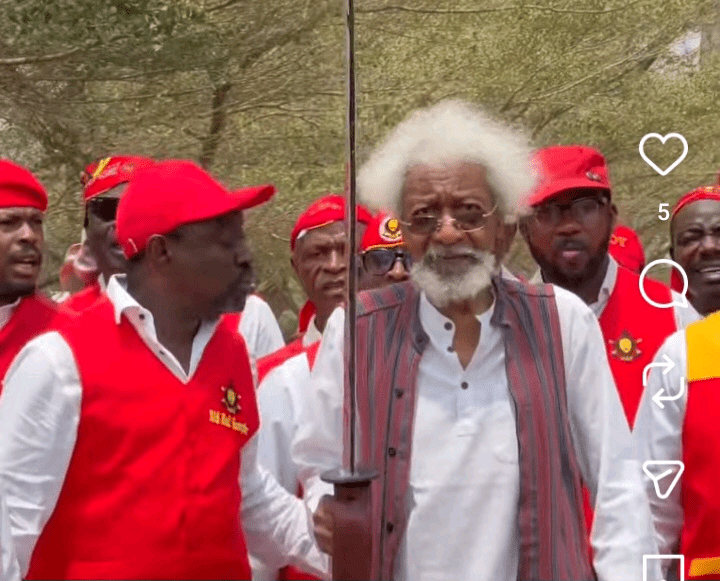 Nobel Laureate Soyinka Leads Pyrates Confraternity Members To Burial Of Late Academic ,Jeyifo